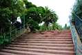 Conservatory of Flowers