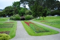 Conservatory of Flowers