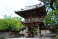 Japanese Tea Garden