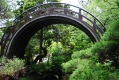 Japanese Tea Garden