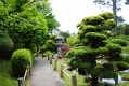 Japanese Tea Garden