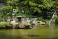 Japanese Tea Garden