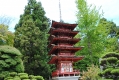 Japanese Tea Garden