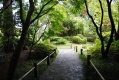Japanese Tea Garden
