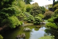 Japanese Tea Garden