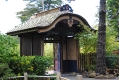 Japanese Tea Garden