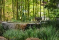 Japanese Tea Garden