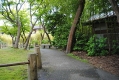 Japanese Tea Garden