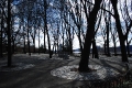 Fort Tryon Park