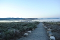 Mono Lake