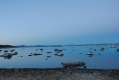 Mono Lake