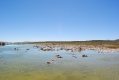 Mono Lake
