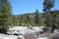 Yosemite Park