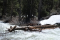 Yosemite Park