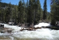 Yosemite Park