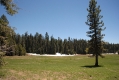 Yosemite Park