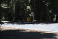 Yosemite Park