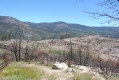 Yosemite Park