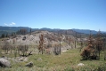 Yosemite Park