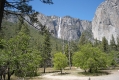 Yosemite Park