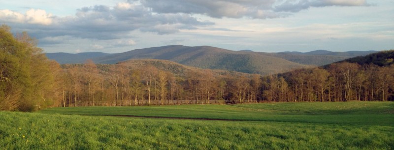 Cottage in Catskills